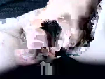 Gay Chatters Cams Presents Wcs1467 Starring Sissy Style Weird Fullscreen Guest Webcam Show